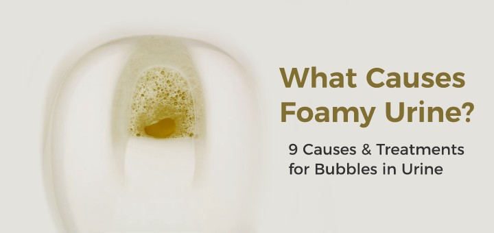 Foamy Urine