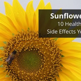 Sunflower lecithin benefits