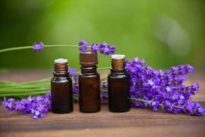 Lavender Essential Oil