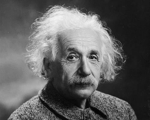 Albert Einstein Nose