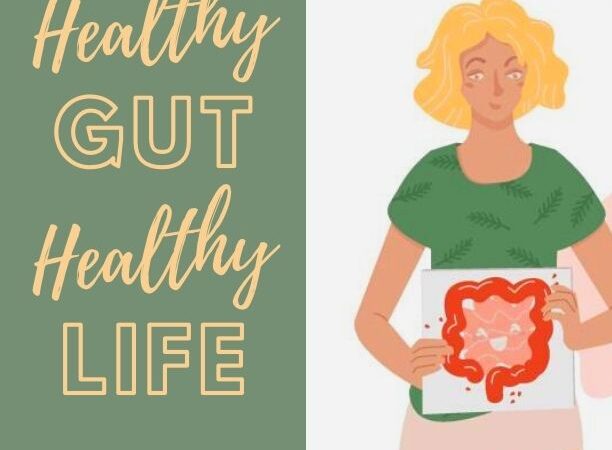 Gut Health Probiotic Supplement