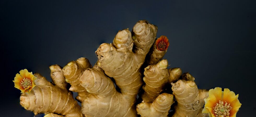 Ginger Health Benefit