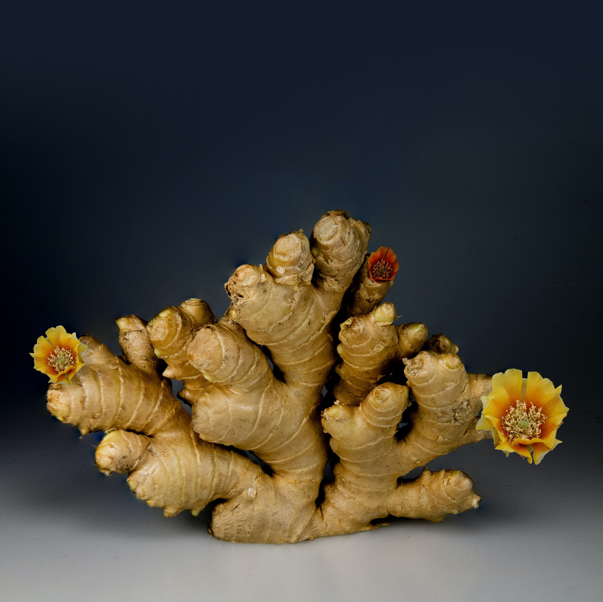 Ginger Health Benefit